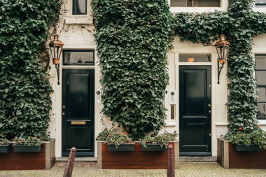 Amsterdam Tarih Merkezi 'ndeki eski evin önünde yeşil duvar fabrikası