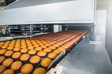 Pastalarla otomatik taşıma bandı, şekerleme fabrikasında pişirme işlemi. Gıda endüstrisi