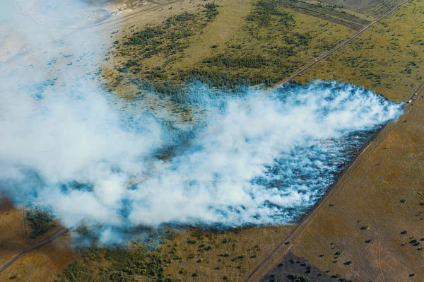 Αεροφωτογραφία του ελεγχόμενου bushfire ή φωτιά στο δάσος μεταξύ των πράσινων πεδίων, drone πυροβόλησε από ψηλά — Φωτογραφία Αρχείου