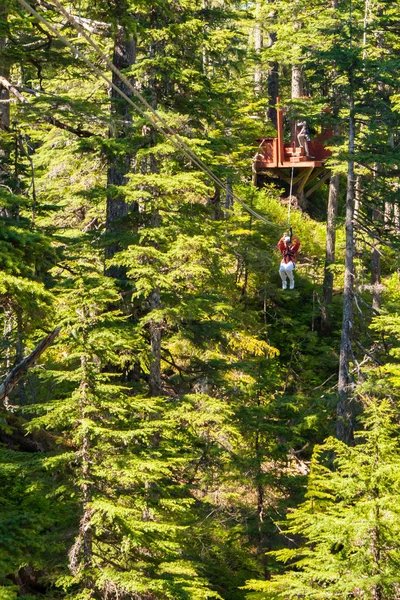 Size dönük ZIP satırındaki kişi