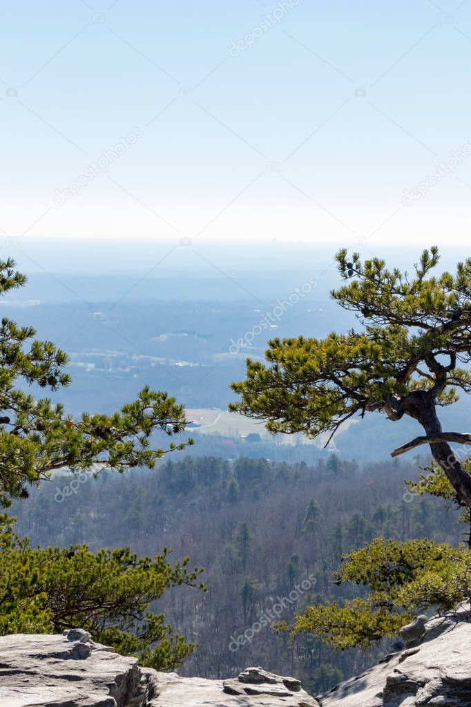 Pine trees framing view of moutain valley