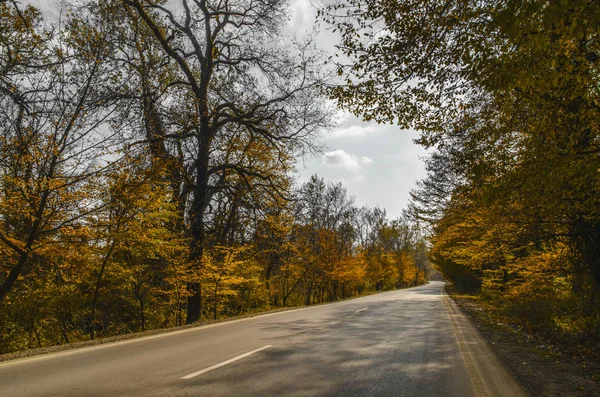 Krajina z asfaltové silnice v krásné podzimní jasný den mezi stromy s žlutým olistěním — Stock fotografie