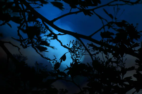 Гілки дерев з листям на тлі темного кольору, або фрагмент дерева вночі з довгим експозицією, квітковим візерунком. Орнамент можна використовувати як шпалери, лісовий банер — стокове фото