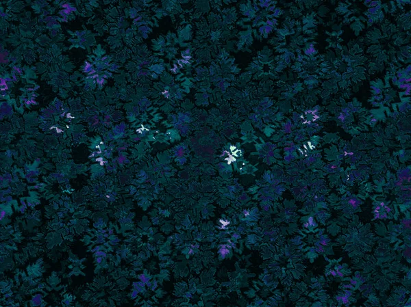 Fragmento de tapete ornamental verde azul vermelho rosa cinza violeta amarelo laranja marrom preto branco turquesa, ou superfície abstrata de padrão de folhas de losango azulejos, textura floco de neve útil como fundo — Fotografia de Stock