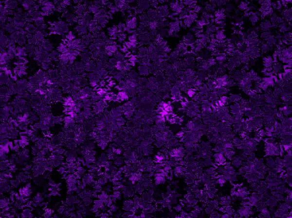 Fragmento de alfombra ornamental verde azul rojo rosa gris violeta amarillo naranja granate negro blanco turquesa, o superficie abstracta de patrón de hojas de rombo de azulejos, textura de copo de nieve útil como fondo — Foto de Stock