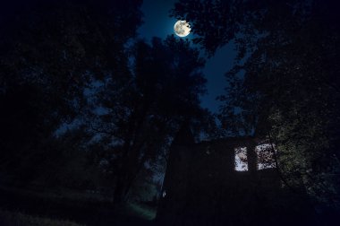Gece gökyüzüne moon ile karanlık ormanın içinde parlayan pencere eşiği ile kırsal Gotik Kalesi