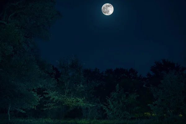 Paisaje místico de Luna Llena Levantándose sobre un alto prado verde con árboles en Forest; Skyline Silhouette — Foto de Stock