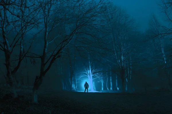 Dziwny sylwetka w ciemnym lesie spooky światłach surrealistyczne nocy, mistyczny krajobraz z creepy człowieka — Zdjęcie stockowe
