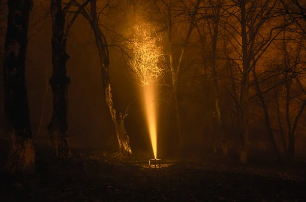 Luz surrealista en el bosque oscuro, luces mágicas de fantasía en el bosque de niebla de cuento de hadas — Foto de Stock