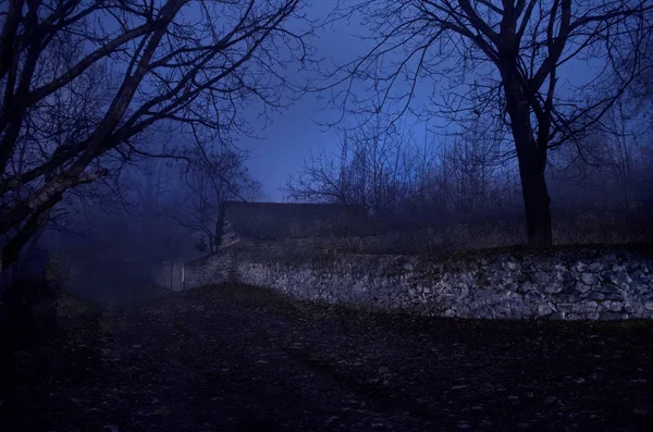 Casa em nevoeiro à noite no jardim, Paisagem da casa fantasma na floresta escura . — Fotografia de Stock