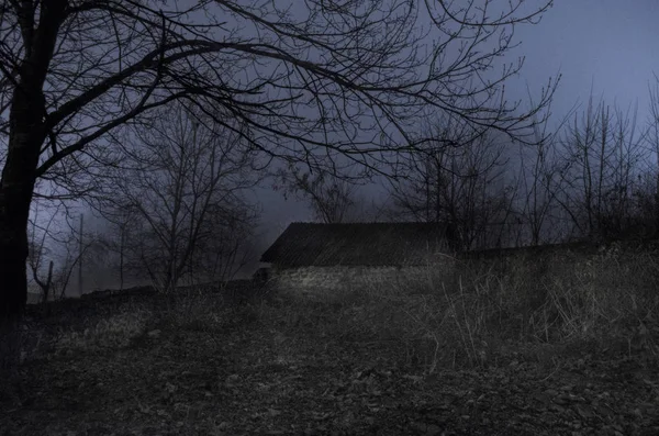 Casa em nevoeiro à noite no jardim, Paisagem da casa fantasma na floresta escura . — Fotografia de Stock