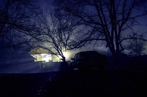 Silhuetten av bil och träd i natt skog med dimma, surrealistiska lampor mystiska landskap — Stockfoto