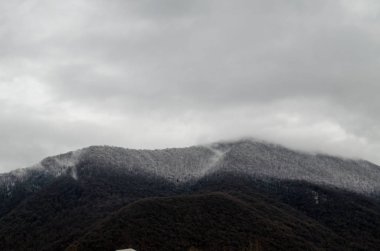 dağ kar manzara doğa ağaçlar ve Ilısu, Qax Azerbaycan, büyük Kafkasya sis