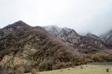 dağ kar manzara doğa ağaçlar ve Ilısu, Qax Azerbaycan, büyük Kafkasya sis