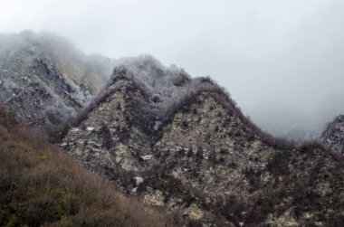 dağ kar manzara doğa ağaçlar ve Ilısu, Qax Azerbaycan, büyük Kafkasya sis