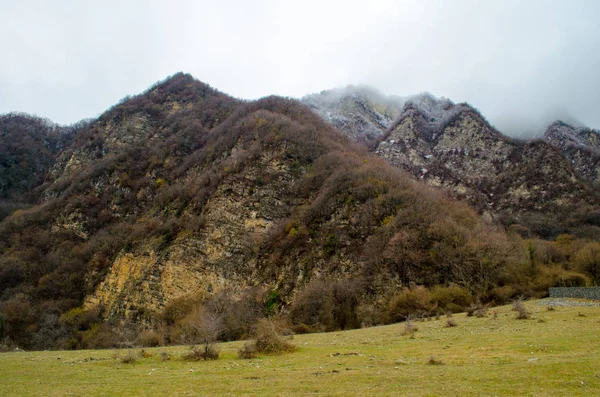 Gebirgsschneelandschaft Natur mit Bäumen und Nebel bei ilisu, gakh azerbaijan, großer Kaukasus — Stockfoto