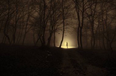 Yalnız kız ormanda gece veya mavi ışıkla tonda 
