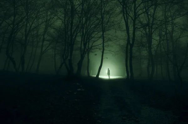 Chica sola con la luz en el bosque por la noche, o azul tonificado — Foto de Stock