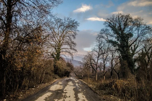 Hermoso paisaje de carretera rural con árboles en invierno al atardecer. Azerbaiyán, Cáucaso, Sheki, Gakh, Zagatala — Foto de Stock