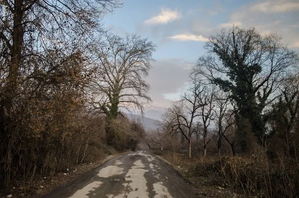 Gyönyörű táj, a fák télen napnyugtakor oldalán országúton. Azerbajdzsán, Sheki, Caucasus, Gakh, Zagatala — Stock Fotó