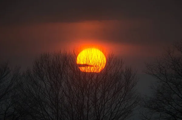 Forest Road Under Sunset Sunbeams (em inglês). Belo pôr-do-sol com nuvens laranja e vermelha atrás de algumas árvores de coníferas. Fecha. Azerbaijão, Cáucaso — Fotografia de Stock