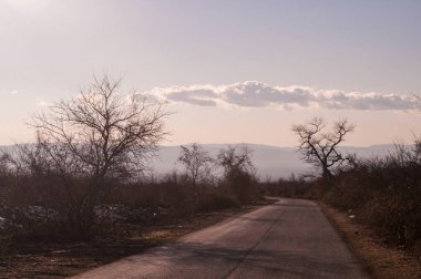 Ülke yan yol batımında kış zamanında ağaçlarıyla güzel manzara. Azerbaycan, Caucasus, Şəki, Qax, Zaqatala