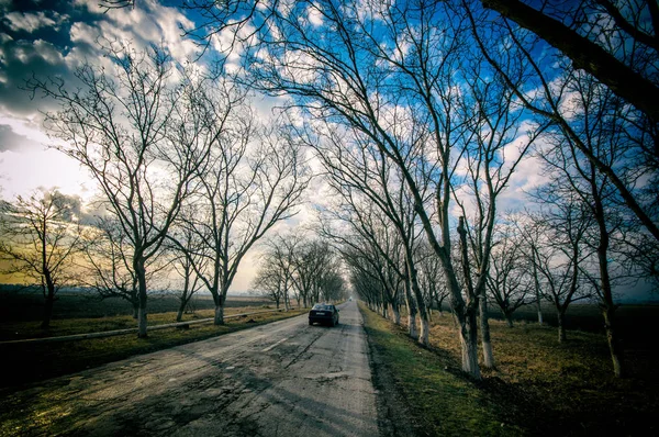 Bela paisagem da estrada do lado do país com árvores no tempo de inverno ao pôr do sol. Azerbaijão, Cáucaso, Sheki, Gakh, Zagatala — Fotografia de Stock