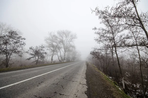 Paisaje invernal de árboles silueta creciendo cerca de una carretera. Y alrededor, la niebla circundante. Camino a Sheki, Azerbaiyán — Foto de Stock