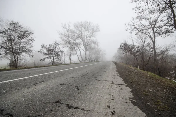 Paisaje invernal de árboles silueta creciendo cerca de una carretera. Y alrededor, la niebla circundante. Camino a Sheki, Azerbaiyán — Foto de Stock