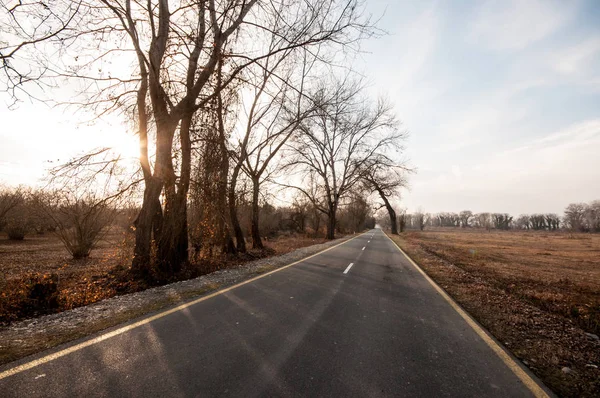 Ландшафт проселочной дороги с деревьями зимой на закате. Азербайджан, Кавказ, Шеки, Гах, Загатала — стоковое фото