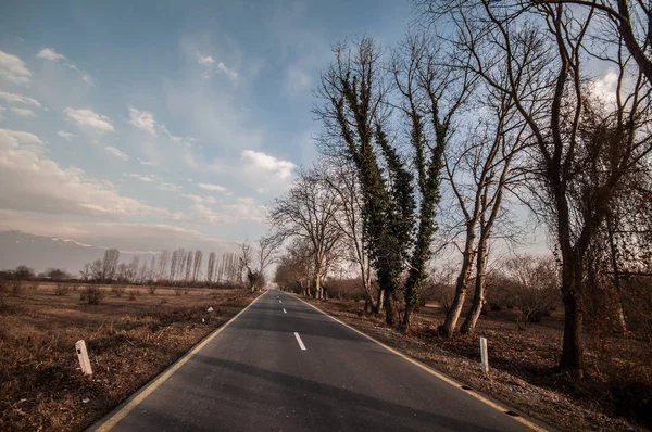 Krásná krajina země vedlejší silnice se stromy v zimním období při západu slunce. Ázerbájdžán, Kavkaz, Sheki, Gakh, Zagatala — Stock fotografie