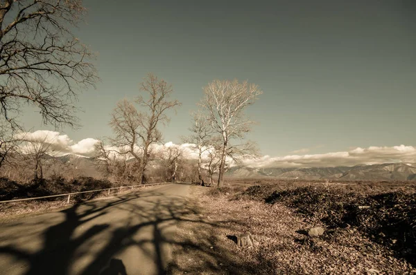 Krásná krajina země vedlejší silnice se stromy v zimním období při západu slunce. Ázerbájdžán, Kavkaz, Sheki, Gakh, Zagatala — Stock fotografie