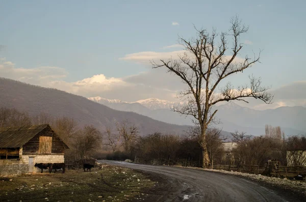 Landscape of asphalt road going off into the mountain passes through the trees, villages and forest places. or rural places of Azerbaijan at sunset — Stock Photo, Image