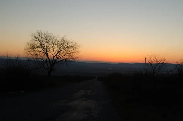 Paisaje otoñal o invernal con carretera y árboles. La luz dorada brilla al atardecer. Sobre un fondo de montañas y el cielo con nubes. Azerbaiyán Cáucaso — Foto de Stock