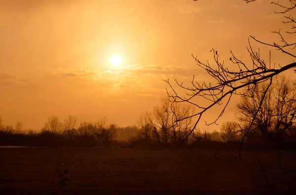 Drogi leśne pod zachód słońca promienie słoneczne. Piękny zachód słońca z pomarańczowe i czerwone chmury za kilka drzew iglastych. Z bliska. Azerbejdżan, Caucasus — Zdjęcie stockowe