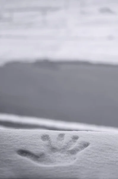 Ідеальний принт для рук у свіжому снігу, з розмитим тлом озера та гори — стокове фото