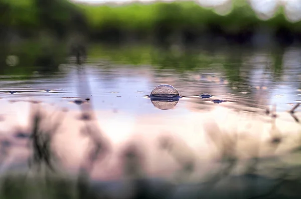 Onderwateropname van gras en planten ondergedompeld in helder water met veel luchtbellen en reflectie op ondergrond. — Stockfoto