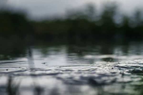 Plan sous-marin d'herbe et de plantes immergées dans l'eau claire avec beaucoup de bulles d'air et de réflexion sur le sous-sol. — Photo