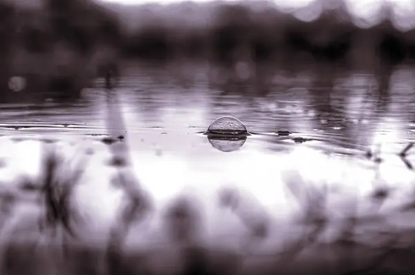 Plan sous-marin d'herbe et de plantes immergées dans l'eau claire avec beaucoup de bulles d'air et de réflexion sur le sous-sol. — Photo