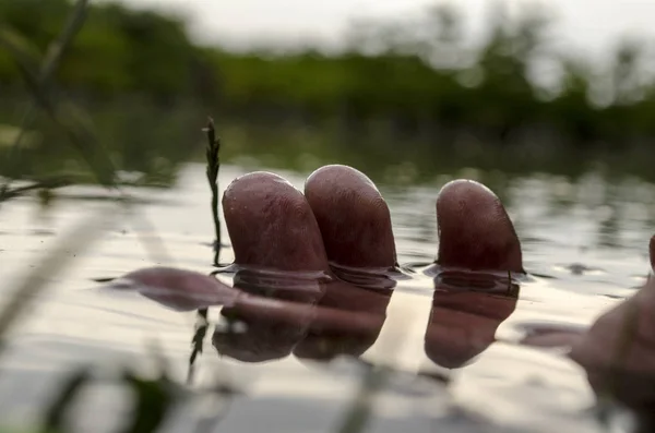 Vinger raakt water close-up of verdrinking man concept. Hand close-up in het water. Selectieve focus — Stockfoto