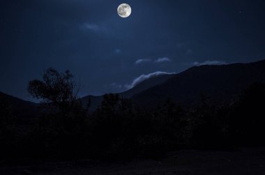 dağ nehir taşları ve dağ yamacı gece ay ışığı'nın eteklerinde orman çim ile. Azerbaycan