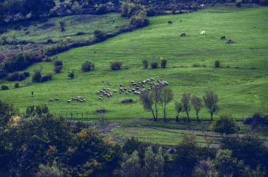 Şafak güneş ile dağlarda güzel manzara. Dağlar, günbatımı zamanı. Azerbaycan, Taliş Dağları. Yardimli