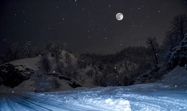 Bosque en un prado lleno de nieve en las altas montañas con cimas nevadas en la noche en la luz de la luna llena. Azerbaiyán. Lerik. — Foto de Stock