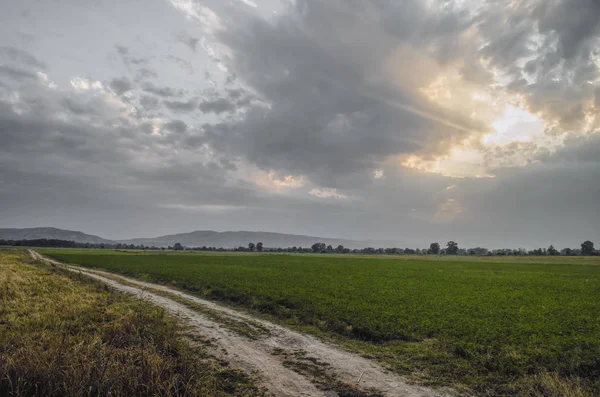 Leere Landstraße durch Weizenfelder. azerbaijan großer Kaukasus. sheki. oguz — Stockfoto