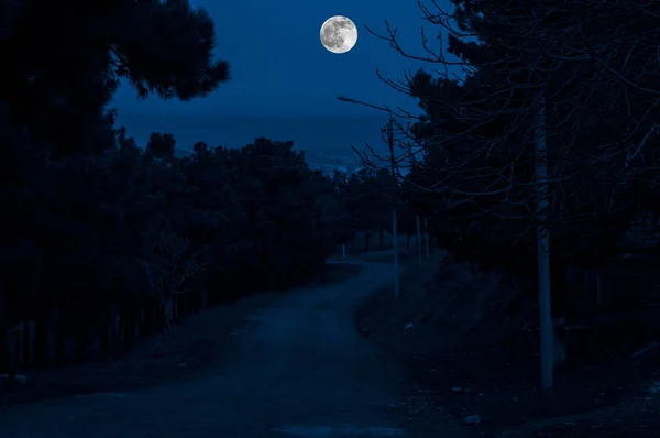 Bela paisagem aldeia rua com edifícios e árvores e grande lua cheia no céu noturno. Grande Cáucaso. Azerbaijão natureza Gazakh — Fotografia de Stock