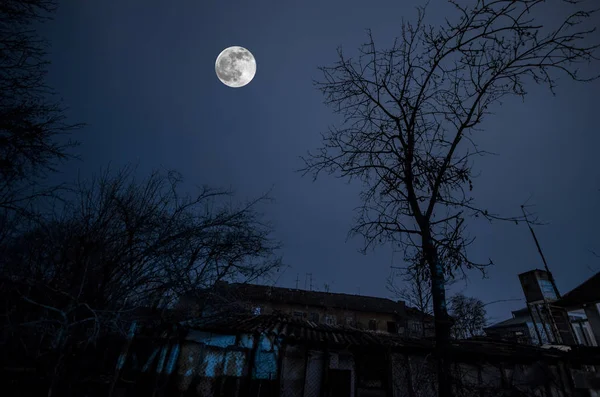 Ландшафтная деревенская улица со зданиями и деревьями и большой полнолунием на ночном небе. Большой Кавказ. Газахская природа — стоковое фото
