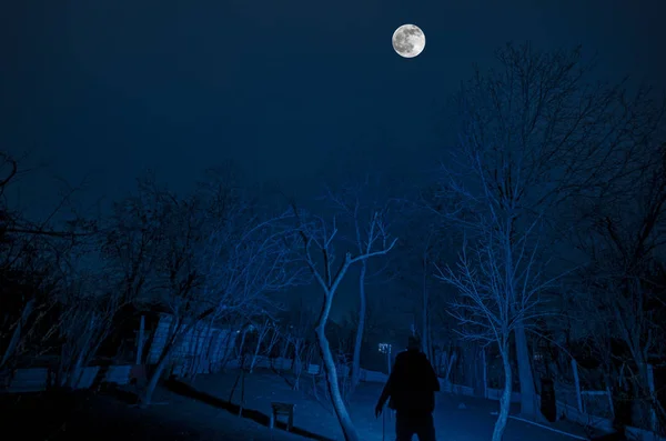 Hermosa calle del pueblo paisaje con edificios y árboles y gran luna llena en el cielo nocturno. Gran Cáucaso. Naturaleza de Azerbaiyán Gazakh — Foto de Stock