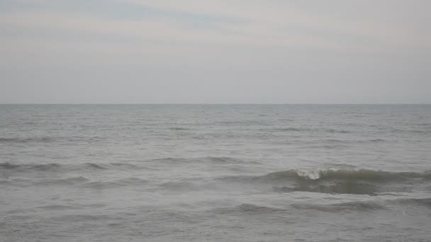 Die Wellen des Kaspischen Meeres wälzen sich auf einem Sand- und Muschelstrand mit gelbem Granitstein. Bewölktes Wetter selektiver Schwerpunkt. abscheron azerbaijan — Stockvideo