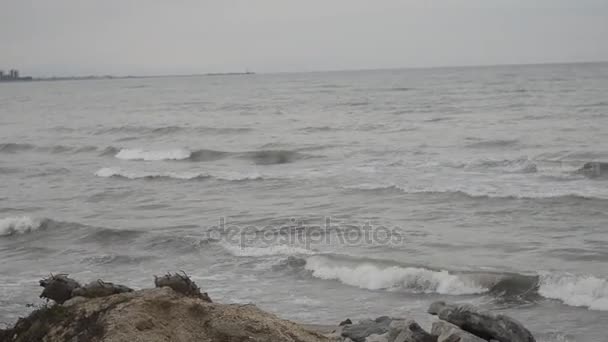 As ondas do Mar Cáspio são roladas em uma praia de areia e concha com uma pedra de granito amarelo. Foco seletivo de tempo nublado. Absheron Azerbaijão — Vídeo de Stock