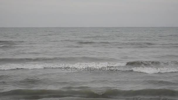 Die Wellen des Kaspischen Meeres wälzen sich auf einem Sand- und Muschelstrand mit gelbem Granitstein. Bewölktes Wetter selektiver Schwerpunkt. abscheron azerbaijan — Stockvideo